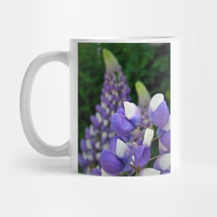 Lupins Mug